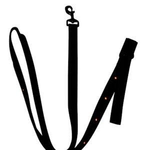 NWT LED lights dog extrovert loud proud leash 6Ft